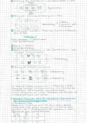 Biologie Prüfung Realschule Sachsen 2024 - BLF Themen klasse 10