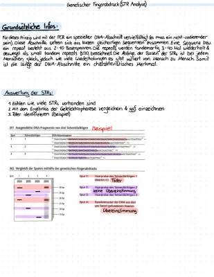 Genetischer Fingerabdruck: Rätsel, Erklärung und Anwendung in der Kriminalistik