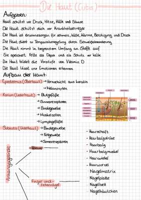 Aufbau der Haut einfach erklärt - Alles zu Hautschichten und Funktionen