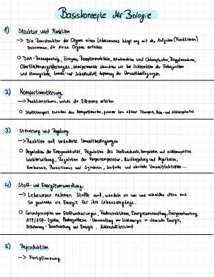 Innere Organe des Menschen und ihre Funktionen - Tabelle und Schaubilder