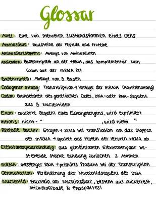 Transkription und Translation in der Biologie einfach erklärt