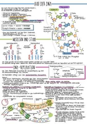 DNA und Meselson-Stahl-Experiment einfach erklärt