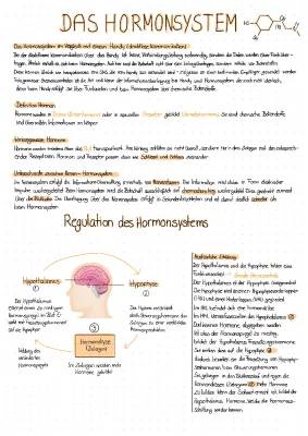 Hypothalamus und Hormonsystem einfach erklärt: Störungen, Symptome und Heilung