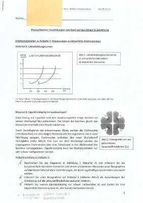 Zellatmung: Wie Bewegung sie beeinflusst und was Sport für die Gesundheit bedeutet