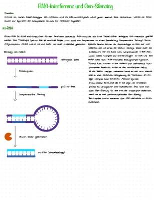 RNA-Interferenz und Gen-Silencing einfach erklärt: miRNA vs siRNA, Anwendung in Therapie und Krebsforschung