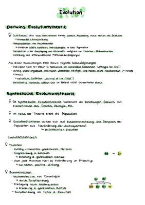 Biologie Evolution einfach erklärt: Zusammenfassung, Abiturhilfe & mehr (PDF)