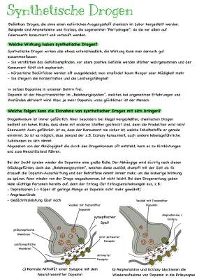 Wie wirken Dopamin-Drogen im Gehirn?