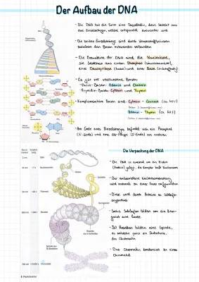 DNA und RNA einfach erklärt - Aufbau, Funktion und Unterschiede