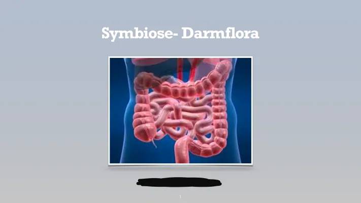 Was ist Darmflora? Entdecke Symbiose Beispiele und wie du deine gestörte Darmflora aufbauen kannst!