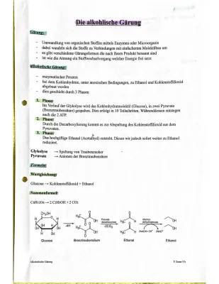 Alkoholische Gärung einfach erklärt: Reaktionsgleichung, Beispiele und ...