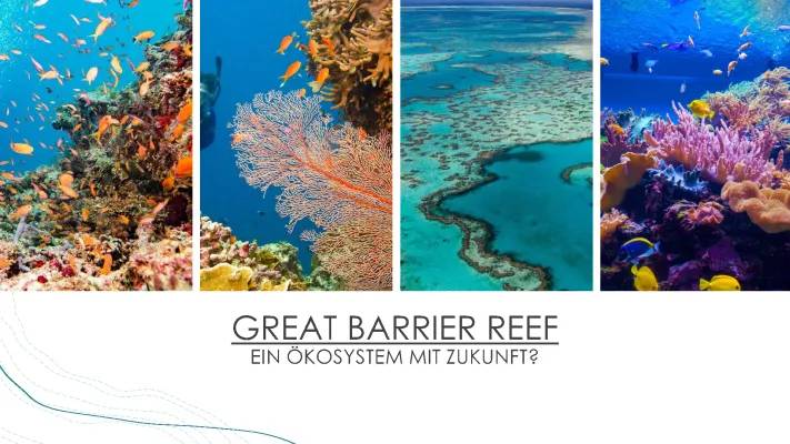 Great Barrier Reef - Ein Ökosystem mit Zukunft?