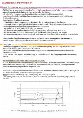 Einfache Biomechanische Prinzipien: Kugelstoßen, Beschleunigung und mehr