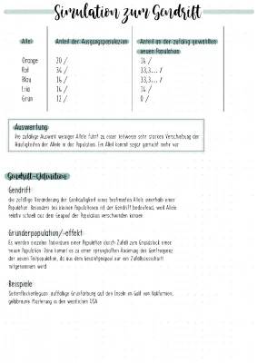 Gendrift und Gründereffekt einfach erklärt mit Simulation