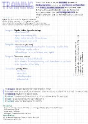 Maximalkraft Trainingsplan & Übungen, Belastungsnormative, Trainingsziele und mehr im PDF