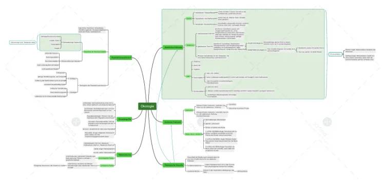 Ökologie Mindmap für Kinder - Biologie 5. Klasse, Wald, Abiotische Faktoren & mehr