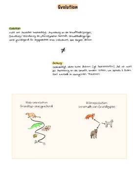 Charles Darwin und Lamarck Evolutionstheorie für Kinder - Mikroevolution, Makroevolution und Beispiele