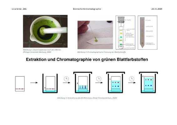 Chromatographie Blattfarbstoffe Versuchsprotokoll: Einfach erklärt für die Schule