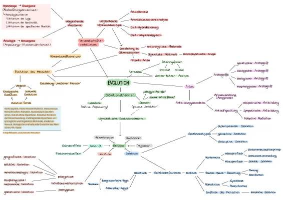 Die coole Geschichte der Menschheit: Evolution, Anatomie und Isolationen erklärt