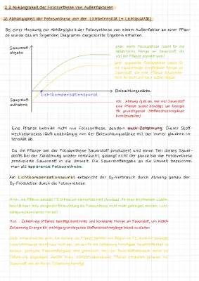 Abhängigkeit der Fotosynthese: Licht, Wasser, CO2 und mehr - Arbeitsblatt für Kinder