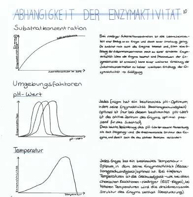 Wie Temperatur und pH-Wert die Enzymaktivität beeinflussen: Experimente und Diagramme