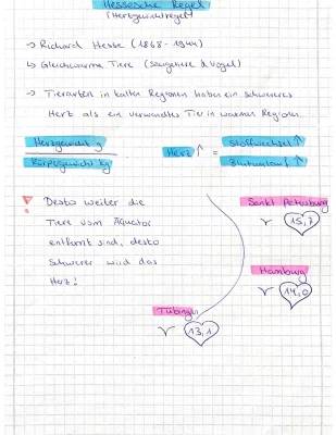 Hessesche Regel Beispiel und Ökogeographische Regeln: Bergmann, Allen, Gloger erklärt