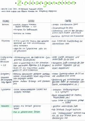 Pflanzenzelle und Zellorganellen: Aufbau, Funktion und mehr