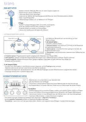 Lernzettel Biologie: Alles über Viren - Aufbau, Vermehrung & mehr!