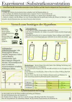 Substratkonzentration und Michaelis-Menten-Konstante: Einfache Erklärungen für Enzyme