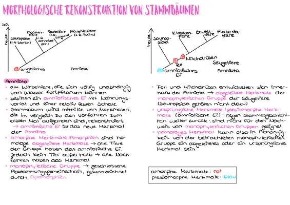 Wie liest man einen phylogenetischen Stammbaum? - Tipps für die Entwicklung der Säugetiere und Reptilien