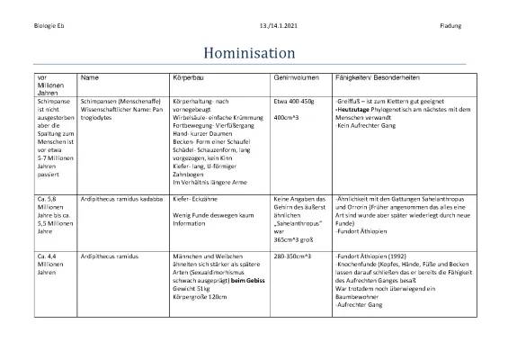 Stammbaum des Menschen: Von Affe zu Homo Sapiens - Einfach erklärt