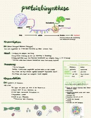 Mutationen einfach erklärt: Beispiele und Übungen mit Lösungen