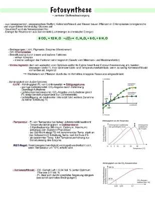 Alles über Fotosynthese: Außeneinflüsse, Chloroplasten und mehr