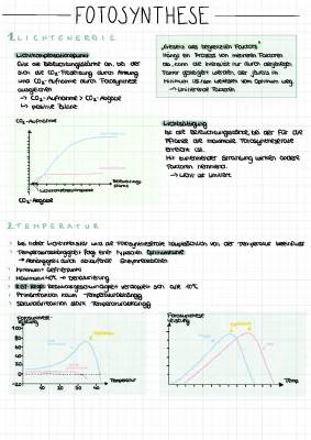 Abhängigkeit der Fotosynthese von Licht, CO2 und Temperatur - Einfach erklärt