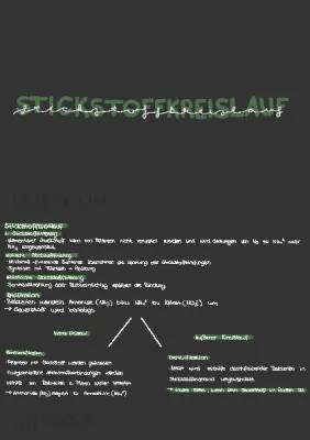 Stickstoffkreislauf für Kinder einfach erklärt - Arbeitsblatt, PDF und mehr