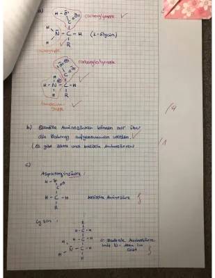 Entdecke die Geheimnisse der Aminosäuren und Gelatine!