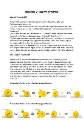 Trisomie 21: Ursachen, Symptome, und Wie sie Entsteht