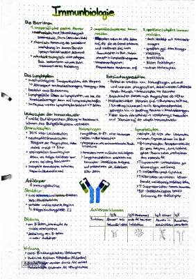 Lymphsystem Lernzettel und Adaptive Immunantwort | Klausurzusammenfassung