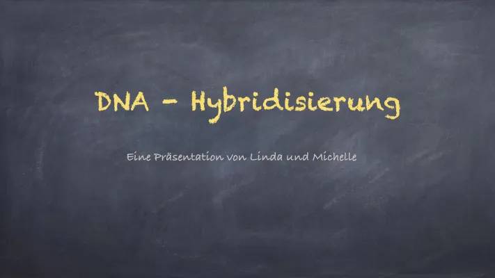 DNA-Hybridisierung Erklärung und Beispiele - Für Kids!