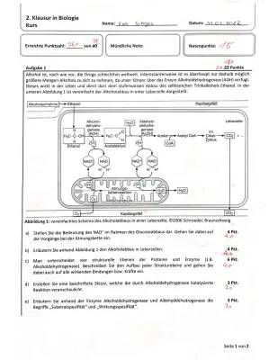 Enzyme und Stoffwechsel: Klausur + Lösungen Klasse 11