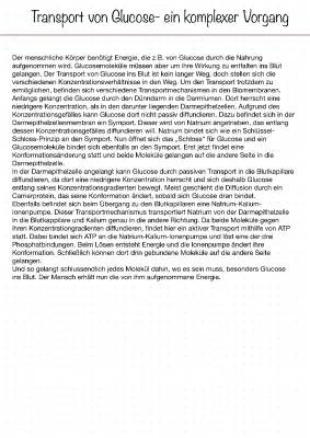 Glucose-Transport vom Darm ins Blut: Einfach erklärt