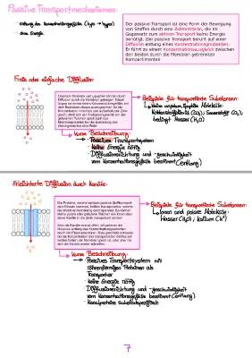 Aktiver und Passiver Transport: Beispiele und Erklärungen für Kinder