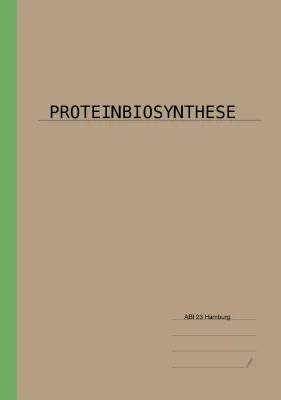 Proteinbiosynthese Zusammenfassung: Einfacher Ablauf, Schritte und PDFs