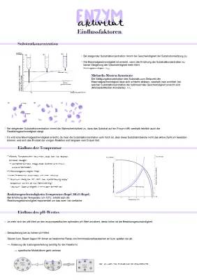 Einfluss von Substratkonzentration, Temperatur und pH-Wert auf die Enzymaktivität