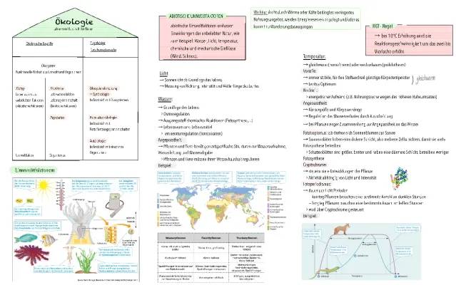 Abiotische und Biotische Umweltfaktoren: Einfache Beispiele und Erklärungen