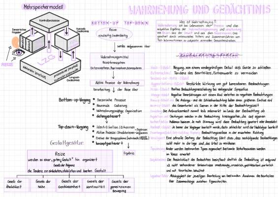 Gestaltgesetze der Wahrnehmung und Gedächtnis einfach erklärt