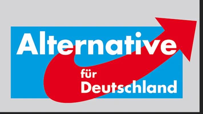 AfD Präsentation Schule - Infos zu AfD Wahlprogramm 2021 & 2024