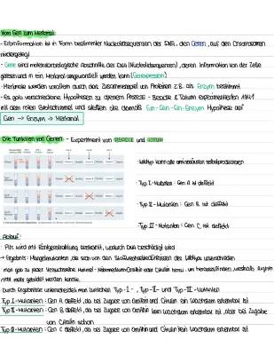 Die Ein-Gen-Ein-Enzym-Hypothese mit Beadle und Tatum Experiment