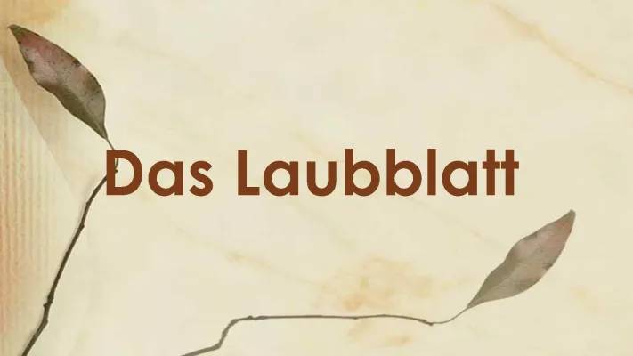 Aufbau des Laubblattes: Arbeitsblatt und Funktion