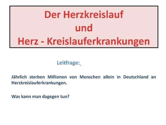 Alles über Herz-Kreislauf: Vorbeugung, Ernährung und häufige Krankheiten