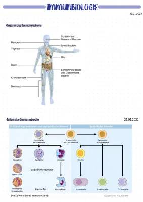 Immunbiologie 